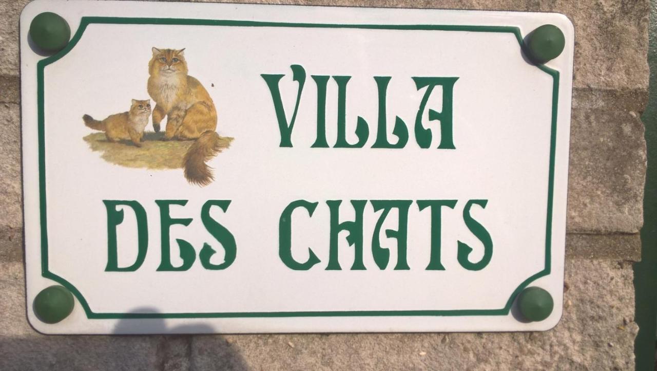 La Villa Des Chats Andresy Ngoại thất bức ảnh